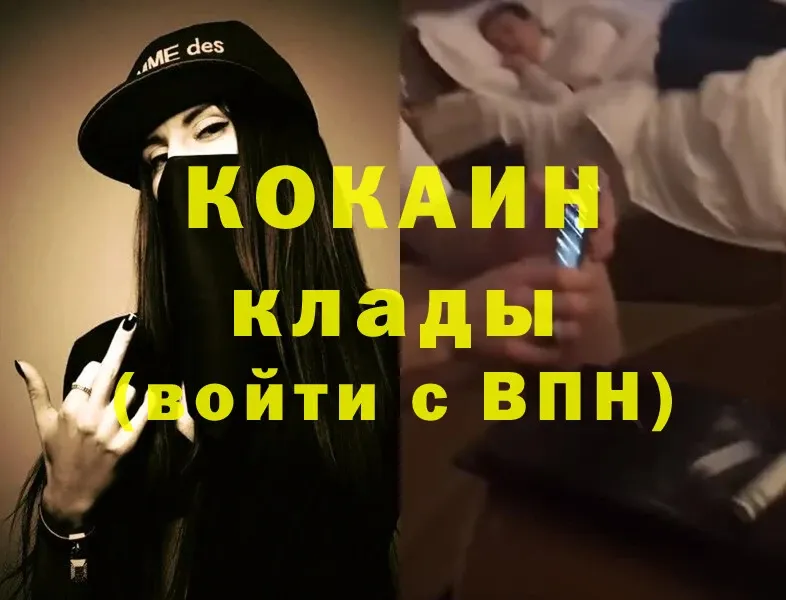 Cocaine FishScale  как найти закладки  Амурск 