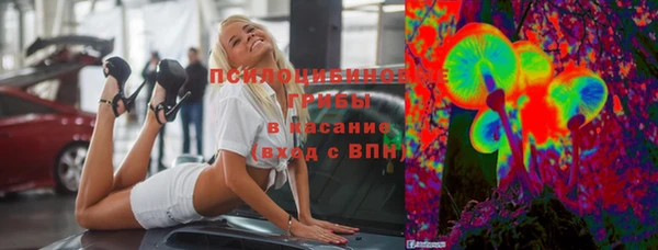 spice Нягань