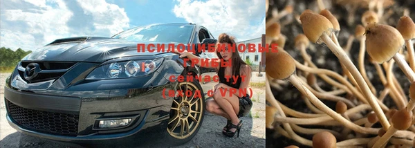 spice Нягань