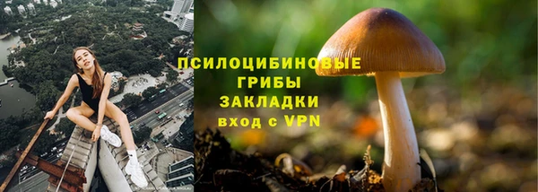 спайс Няндома