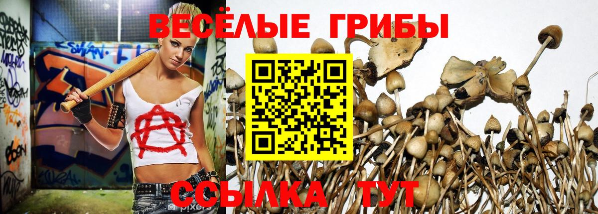 Псилоцибиновые грибы MAGIC MUSHROOMS Амурск
